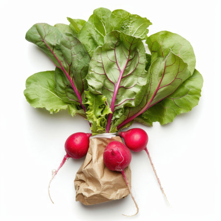 A visually appealing bunch of fresh radishes with vibrant greens, perfect for highlighting healthy eating, raw ingredients, and organic produce in culinary photography.の素材