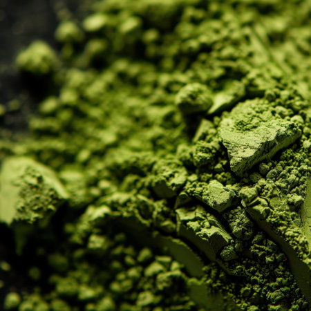 Close-up of a vibrant green powdered substance, showcasing fine textures and details, perfect for culinary, herbal, or health-related themes and designs.の素材