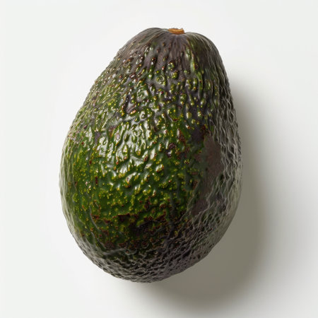 A single fresh Hass avocado isolated against a pure white background, highlighting its rich green color and unique texture, ideal for food-related imagery.の素材