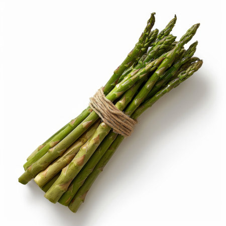 A fresh bunch of green asparagus tied with twine, perfect for showcasing healthy cooking, seasonal ingredients, and vibrant culinary presentations in recipes.の素材