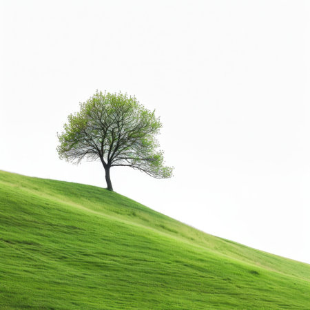 A solitary tree stands gracefully atop a rolling green hill under a soft white sky, embodying the essence of tranquility and natural beauty in this serene landscape.の素材
