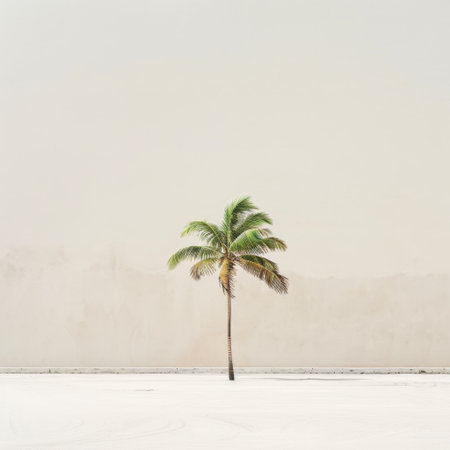 A solitary palm tree stands against a minimal wall, illuminated by bright light, evoking a sense of tranquility and natural beauty in a serene environment.の素材