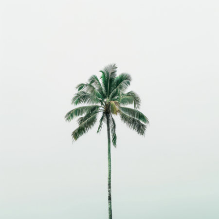 A captivating image of a single coconut palm tree against a soft, neutral background. This minimalist composition evokes feelings of serenity, nature, and tropical beauty.の素材