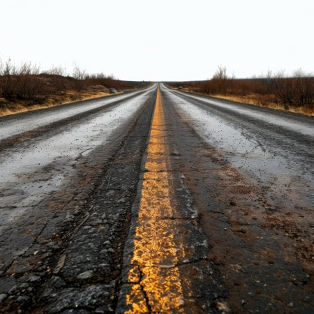 This image captures a long stretch of asphalt road leading toward the horizon, surrounded by sparse vegetation and under a dramatic, overcast sky.の素材