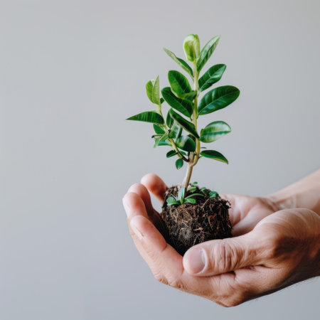 A nurturing moment captured as a person cradles a small green plant in their hands, symbolizing a connection to nature and a commitment to environmental sustainability.の素材