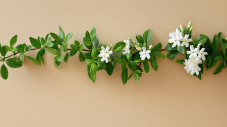 A charming arrangement of fresh white jasmine flowers and green leaves against a light beige backdrop, perfect for nature lovers and design enthusiasts seeking tranquility.の素材