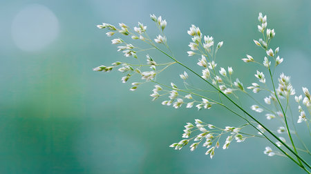 A serene image featuring delicate green grass with small white flowers, set against a soft focus background, perfect for conveying tranquility and natural beauty.の素材