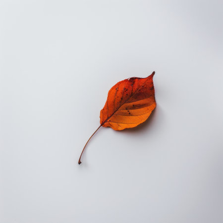 A beautiful autumn leaf in vibrant shades of orange and red sits alone against a clean white background, embodying the beauty and tranquility of seasonal change in nature.の素材
