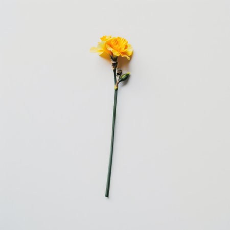 This striking image showcases a single vibrant yellow flower with a green stem on a light minimalist background, ideal for nature themes and floral designs.の素材