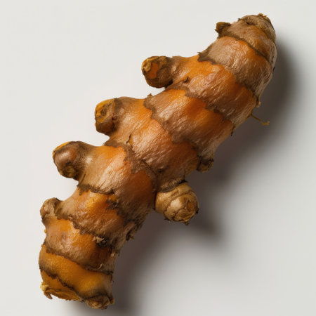 A fresh turmeric root showcasing its vibrant orange skin and unique texture, perfect for culinary creations, herbal remedies, and health-focused recipes.の素材