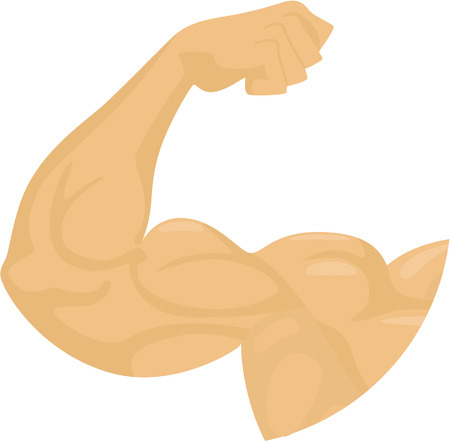 human biceps  isolalted on whiteのイラスト素材