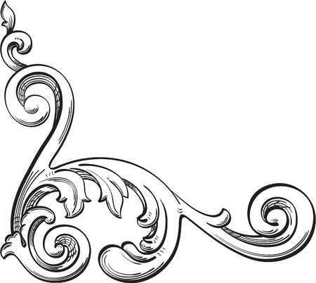 Acanthuse corner is isolated on whiteのイラスト素材