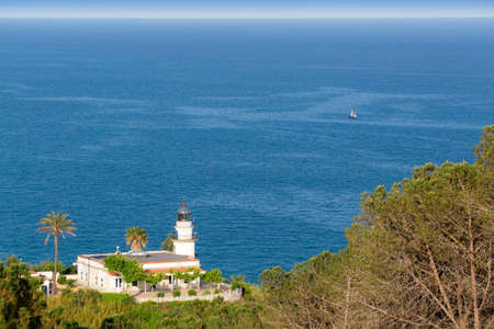 old white lighthouse on the green hill with palms above the seaの写真素材