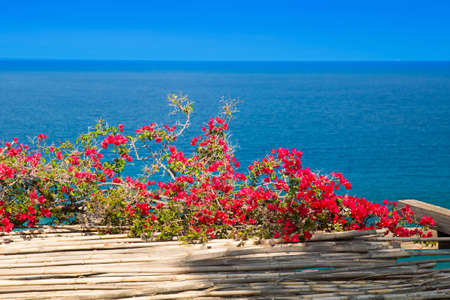 Red bougainvillea flowers on Mediterranean turquoise sea, romantic aerial viewの写真素材