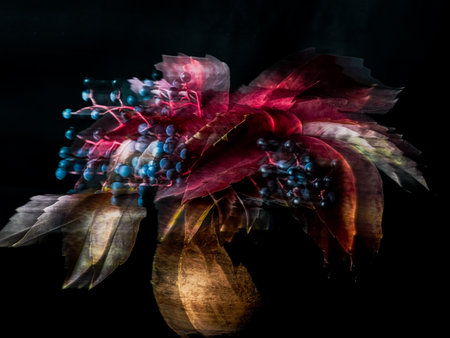 colorful autumn flowers on black background with watercolor effect, close upの写真素材
