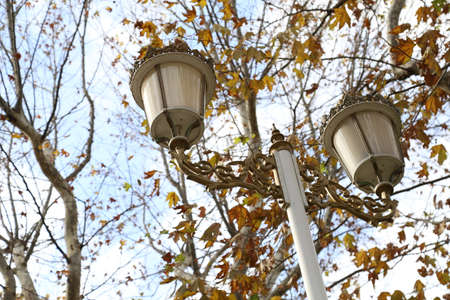 autumn landscapesの写真素材