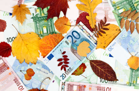 background from autumn leaves and the euro banknotes
