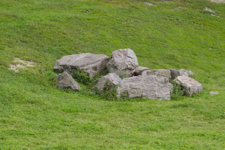 Rock