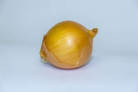 onionの写真素材