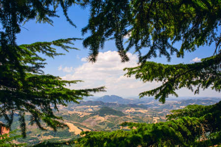 View of the mountains of San Marino through green pine branchesの写真素材