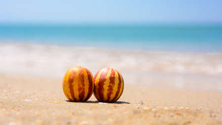 Two small striped melons stand on a sandy beach. In the background, the blue sea.の写真素材