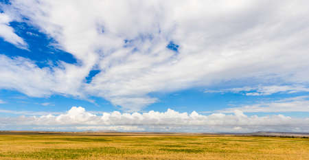 Yellow field and huge white clouds above it. Countryside landscapeの写真素材