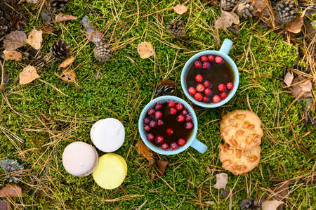 Tea drinking in nature in autumn.の写真素材