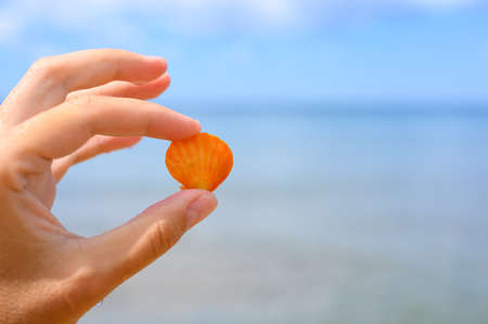 Small orange shell in a man's hand against the background of the sea.の写真素材