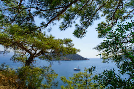 Panoramic view of the sea bay through pine branches. Seascape in the Marmaris area.の写真素材