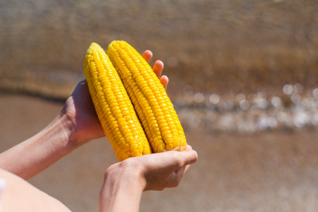 Ripe delicious corn in children's hands on the beach. Selective focus on the first cornの写真素材