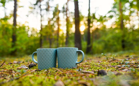Two cups of hot tea or coffee stand in the forest in the moss in the early morning. Selective focusing.の写真素材
