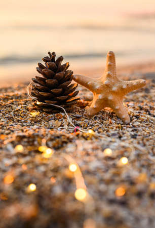 New Year vertical card. A pine cone and a starfish stand on the seashore at sunset with lights from a garland. Selective focus on the bump.の写真素材