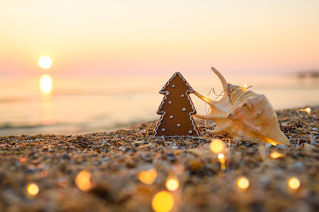 Small Christmas tree with a large beautiful shell on the seashore during the evening sunset. There are garland lights around. Selective focus on the tree.の写真素材
