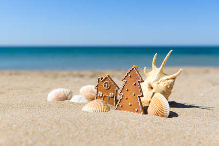 Christmas toys next to a large beautiful shell and many small white shells on the seashore. In-line focusing.の写真素材