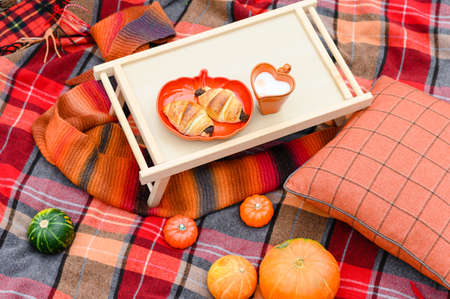 Autumn composition with pumpkins, croissants and hot chocolate on a checkered blanket. Heart shaped mug with chocolate. View from above.の写真素材