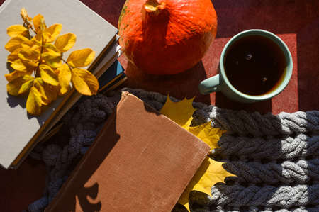 An old book with a maple leaf bookmark next to tea and a warm blanket. Top view and selective focus on the book.の写真素材
