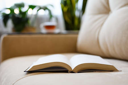 An open book on a light sofa in the room. Selective focus on the binding of a book, narrow focus.の写真素材
