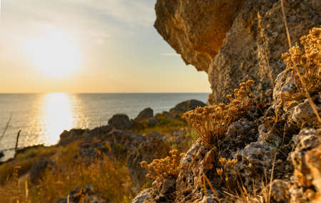 Sunset on the rocky shore. Dry grass near large stones against the background of the sun and the sea. Selective focus on dry grass in the foreground.の写真素材