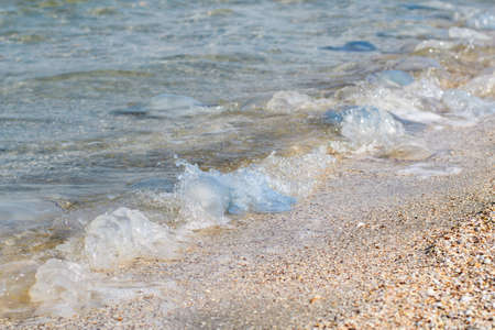 The sea wave throws many large jellyfish ashore. Selective focus on blue jellyfish.の写真素材