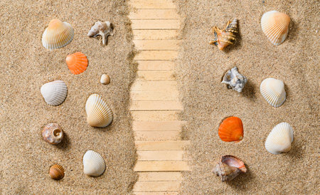 Wooden road to the sea on a sandy beach with shells. Miniature. View from aboveの写真素材