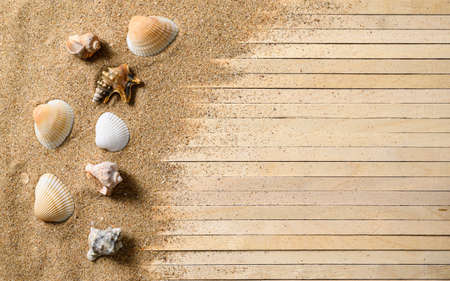 Seashells and sand on a wooden deck. Sea recreation concept. Selective focus on seashells and sandの写真素材