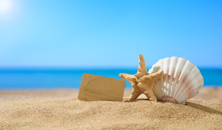 Summer seascape. Wooden blank plaque next to a starfish and a large white seashell on the beach. Selective focus, copy space.の写真素材