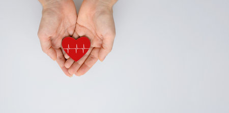 Pulse line on a red heart in female hands. Cardiac Disease Treatment Conceptの写真素材