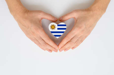 The national flag of Uruguay in female hands. The concept of patriotism, respect and solidarity with the citizens of Uruguay.の写真素材