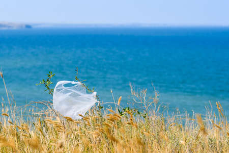A cellophane bag hangs on the grass against the backdrop of the sea. The concept of pollution of nature with plastic garbage. Selective focus on the package.の写真素材