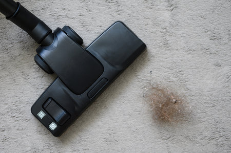 Black brush of vacuum cleaner next to a large tuft of hair and debris. home cleaning conceptの写真素材