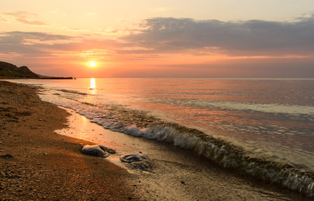 sea evening landscape. Jellyfish on the beach at sunset. Selective focus on jellyfishの写真素材