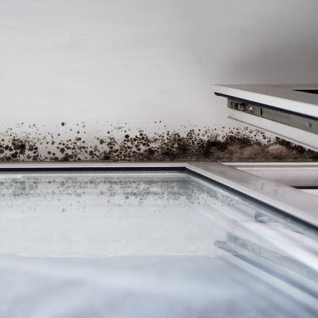 mold in the corner of the windowの写真素材