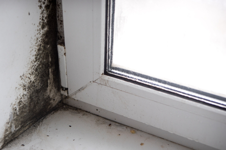 mold in the corner of the windowの写真素材