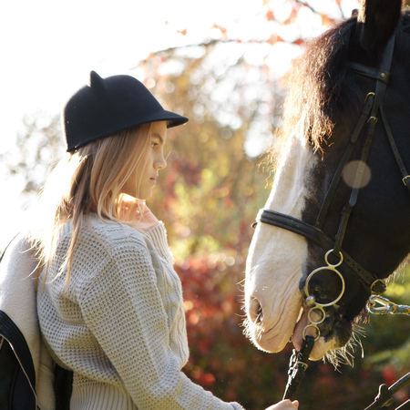 Therapy with horses - hippo therapyの写真素材